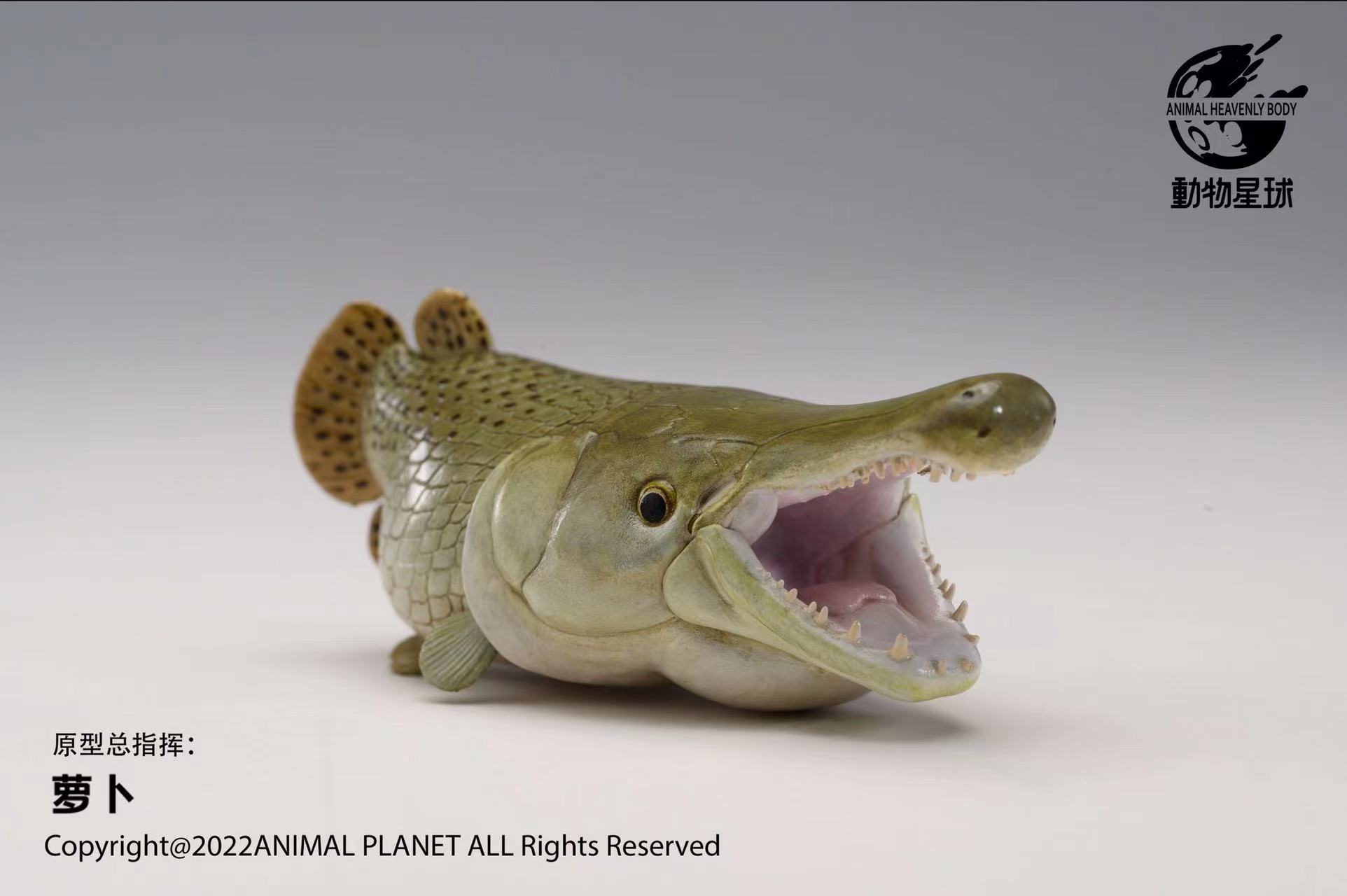 [สั่งจอง]Animal Planet : Alligator Gar