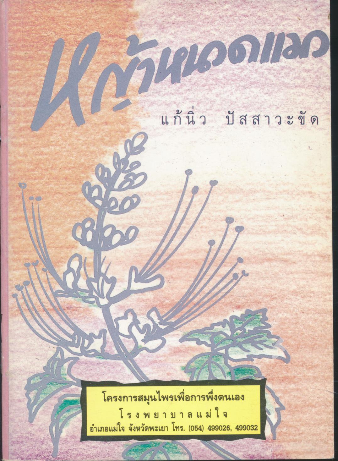 หญ้าหนวดแมว แก้นิ่ว ปัสสาวะขัด