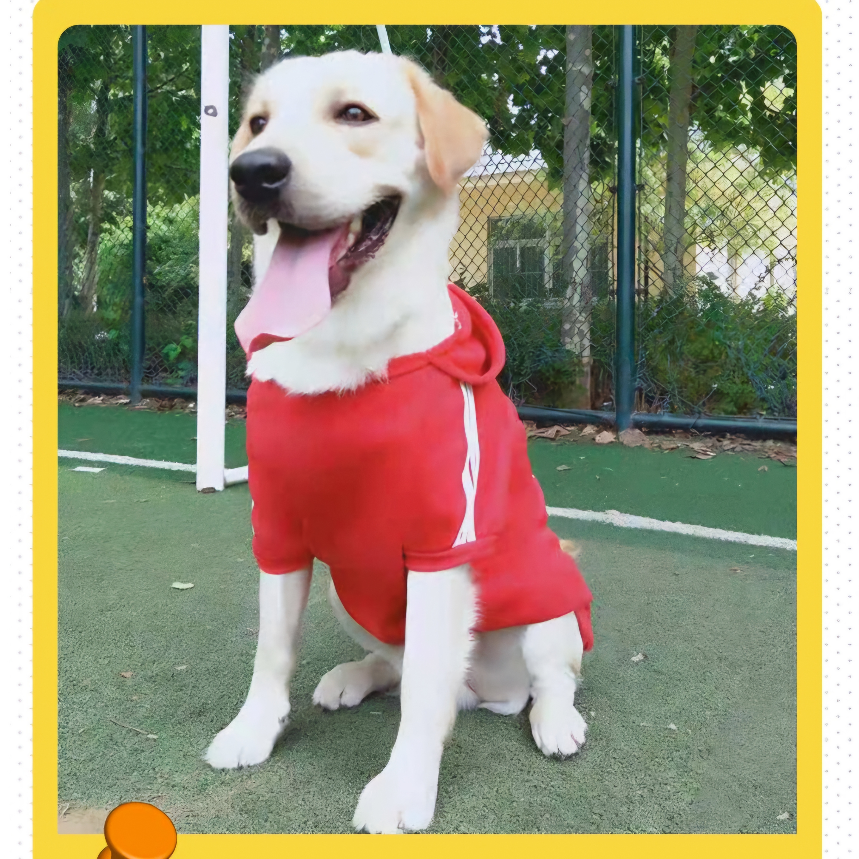 🇹🇭พร้อมส่ง🇹🇭 🐶🐕BIGSIZE เสื้อฮู้ดดี้ ลายการ์ตูน น่ารัก สำหรับ สุนัขพันธุ์กลาง ถึง หมาใหญ่