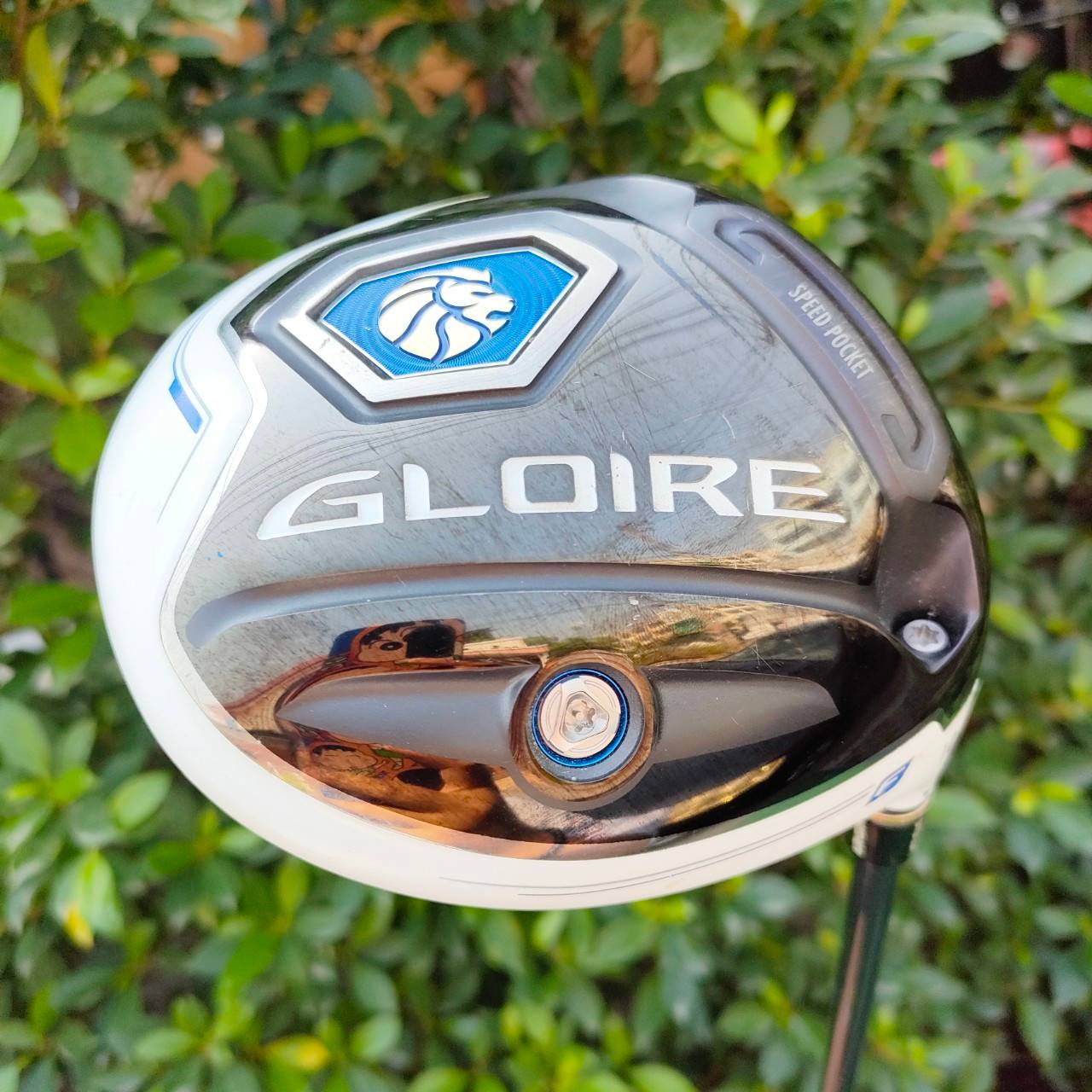 DRIVER TAYLORMADE GLOIRE SPEED POCKET องศา 10 ก้าน TAYLORMADE GL3300 FLEX SR