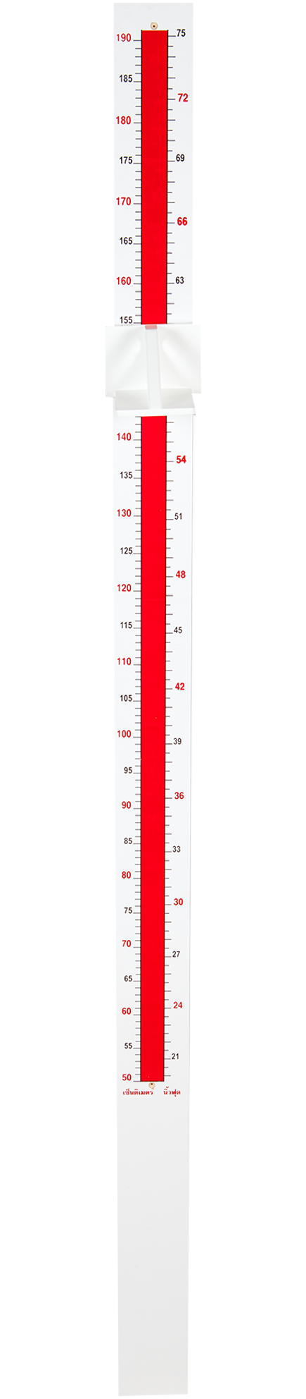 ไม้วัดส่วนสูงเด็ก,ไม้วัดความสูงเด็ก -ผู้ใหญ่ ของใช้โรงเรียน โรงพยาบาล ศูนย์พัฒนาเด็กเล็ก พร้อมส่ง