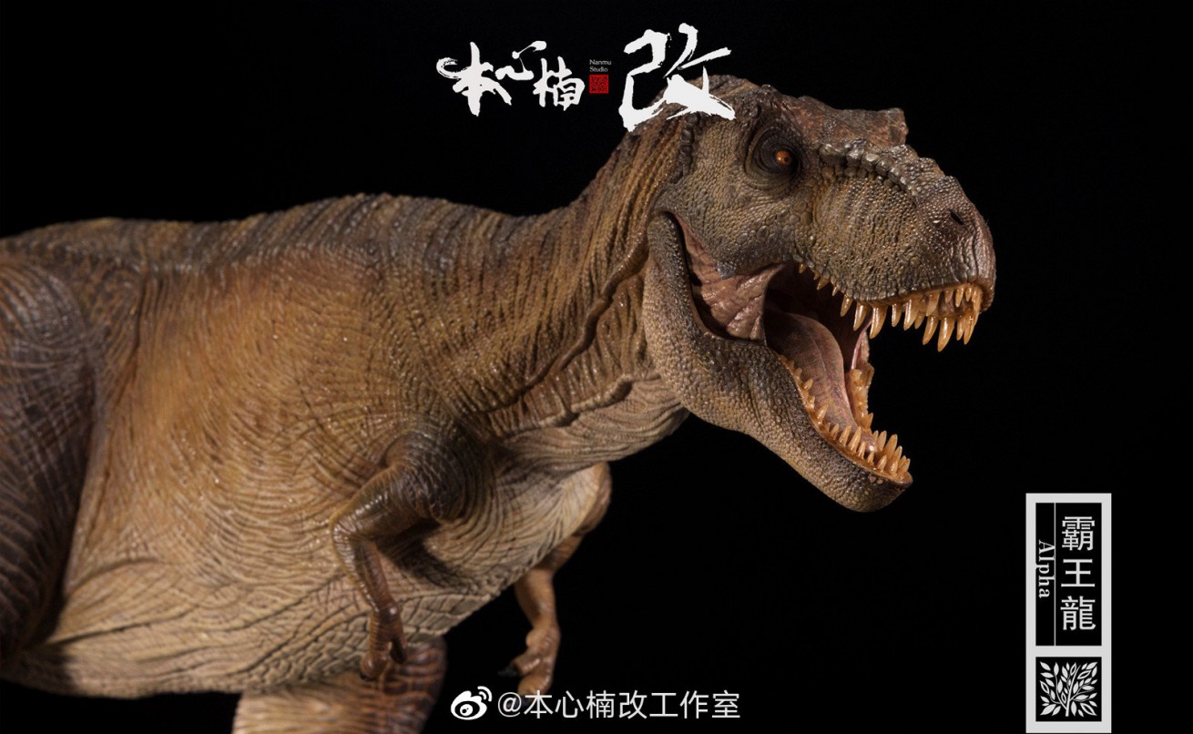 [สั่งจอง] Nanmu Studio 170110 brown/ 170127 green 1/35 :Tyrannosaurus Rex