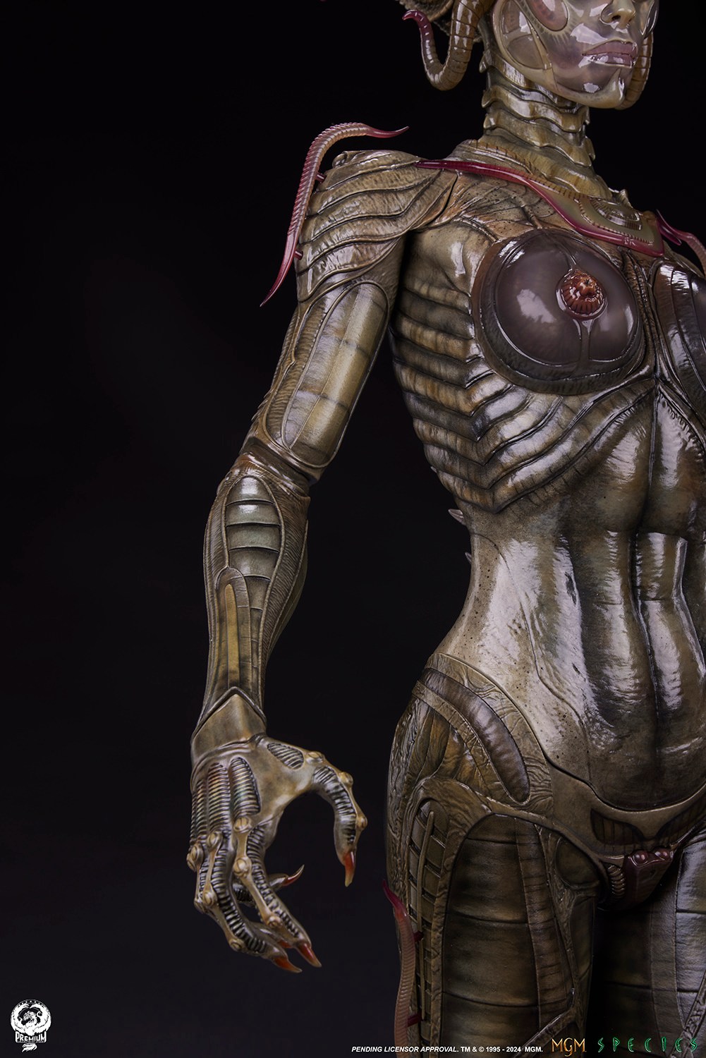 [สั่งจอง] PCS : Species (Species)