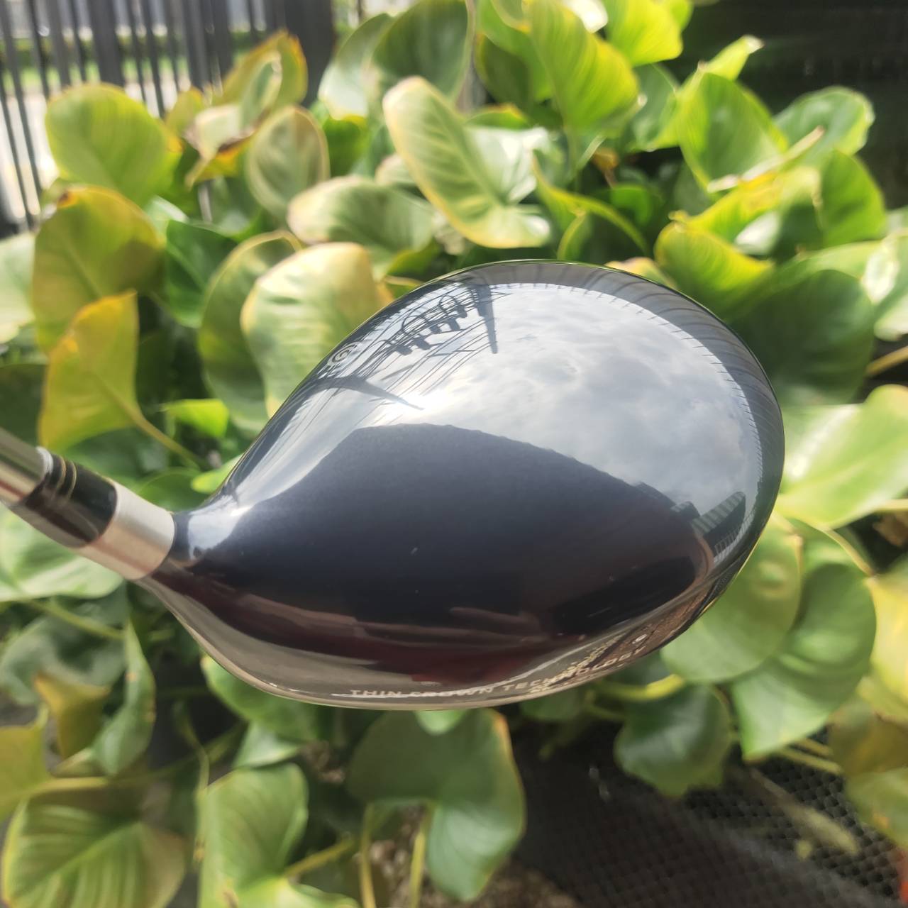 Driver Cleveland Ti460 มือสอง – เสียงแน่น ไกล คุ้มราคา!! สำหรับสายตีตรง ไกล ไม่ต้องจ่ายแพง