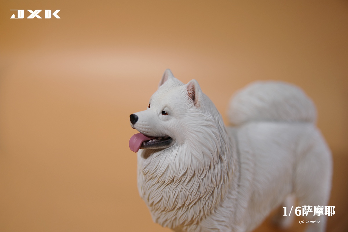 [สั่งจอง]JXK JXK143 1/6 : Samoyed