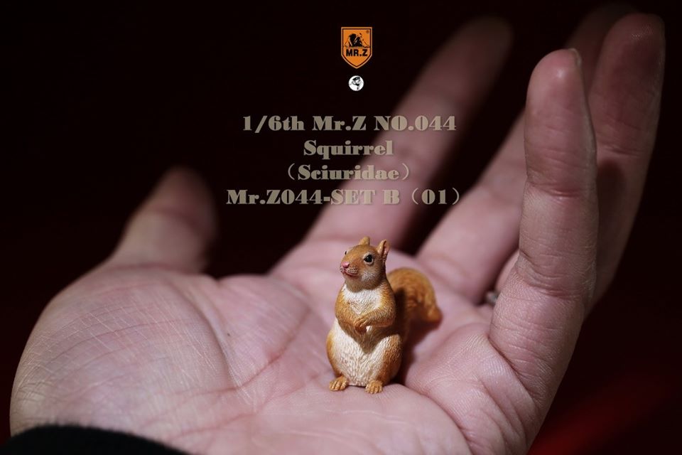 [สั่งจอง]Mr. Z Animal Model Mr.Z044 1/6th : Squirrell [Set A/B]