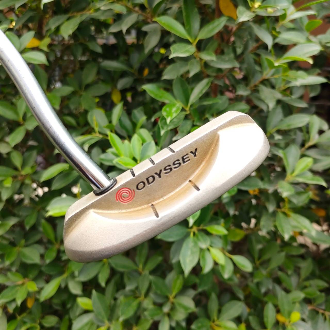 PUTTER ODYSSEY DUAL FORCE TM ROSSIE BLADE ความยาว 34 นิ้ว ก้าน ODYSSEY DUAL FORCE หน้าดำ หนึบๆ เกาะไลน์มากๆครับ