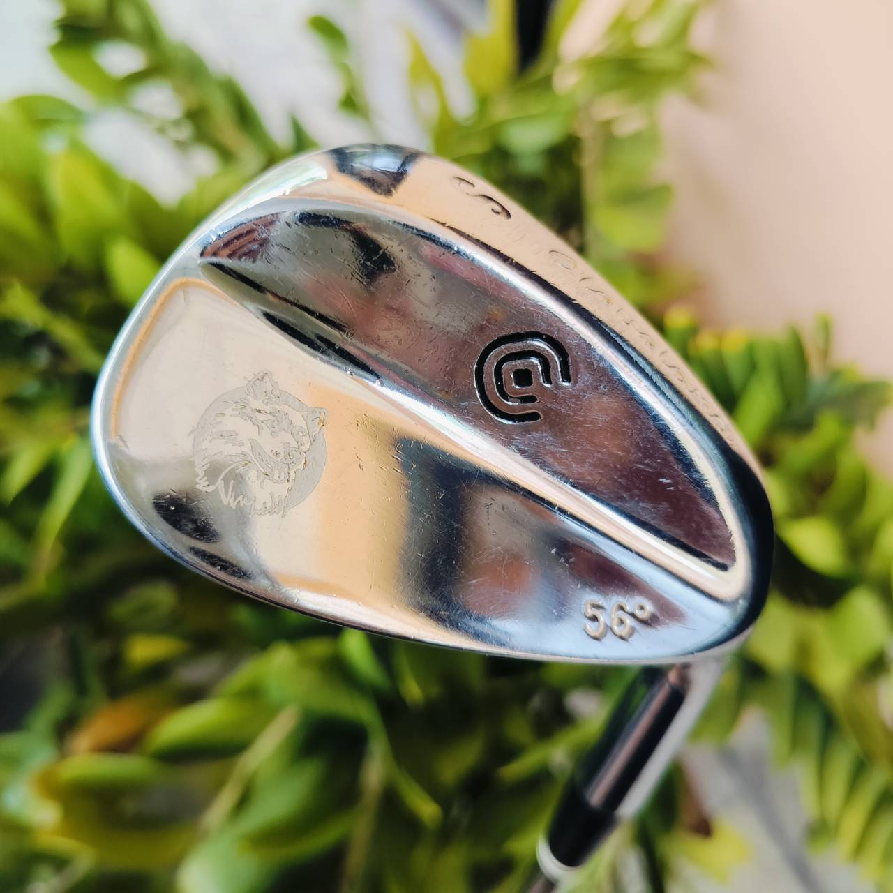 WEDGE CLEVELAND องศา 56 สกรีนลายหมาป่า สวยดุดันมากๆ วัสดุ FORGED พรีเมี่ยม ไม้กอล์ฟพรีเมี่ยมมือสอง ของแท้ By NakaraLuxurious