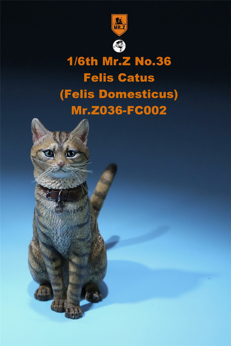 [สั่งจอง] Mr. Z Animal Model No.36: 1/6 Figure Felis Catus