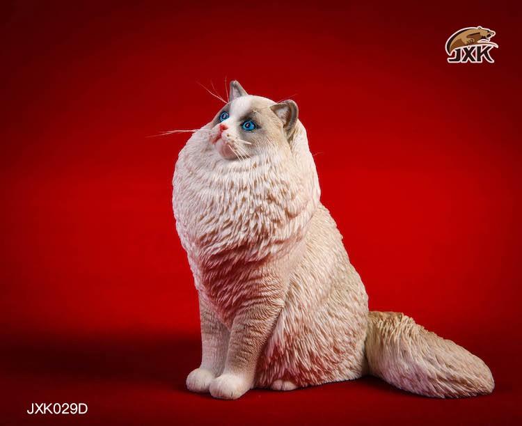 [สั่งจอง] JxK.Studio 1/6 Jxk029/ Jxk030 A/B/C/D -Ragdoll / British Shorthair Cat