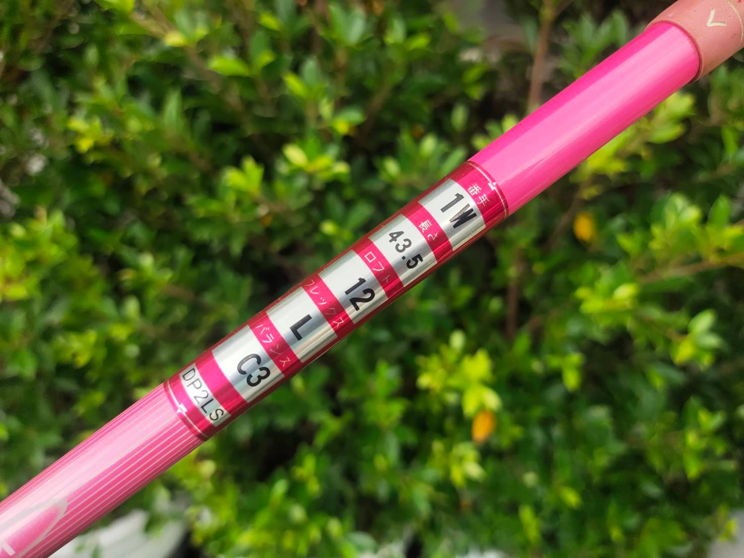 Driver KASCO DIMPALS LADY องศา 12 ก้าน FLEX LADY ไม้กอล์ฟสำหรับผู้หญิง