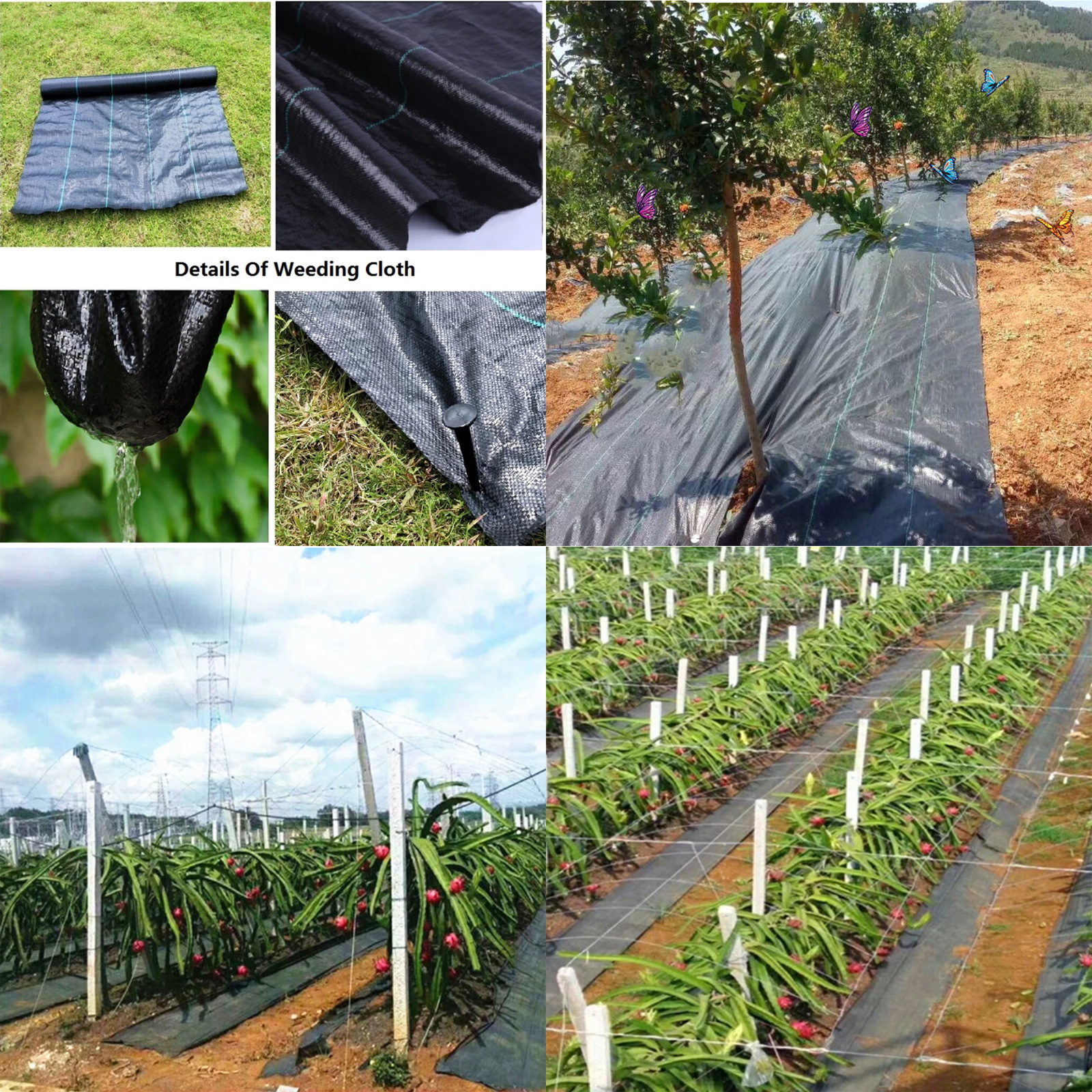 🔥Sale ลดราคา🔥 ผ้าใบคลุมดิน Set-2 หน้ากว้าง1m*ยาว2/3/5/10m ป้องกันวัชพืช คลุมดินเพาะปลูก ระบายน้ำได้ดี ทนแดด ทนฝน