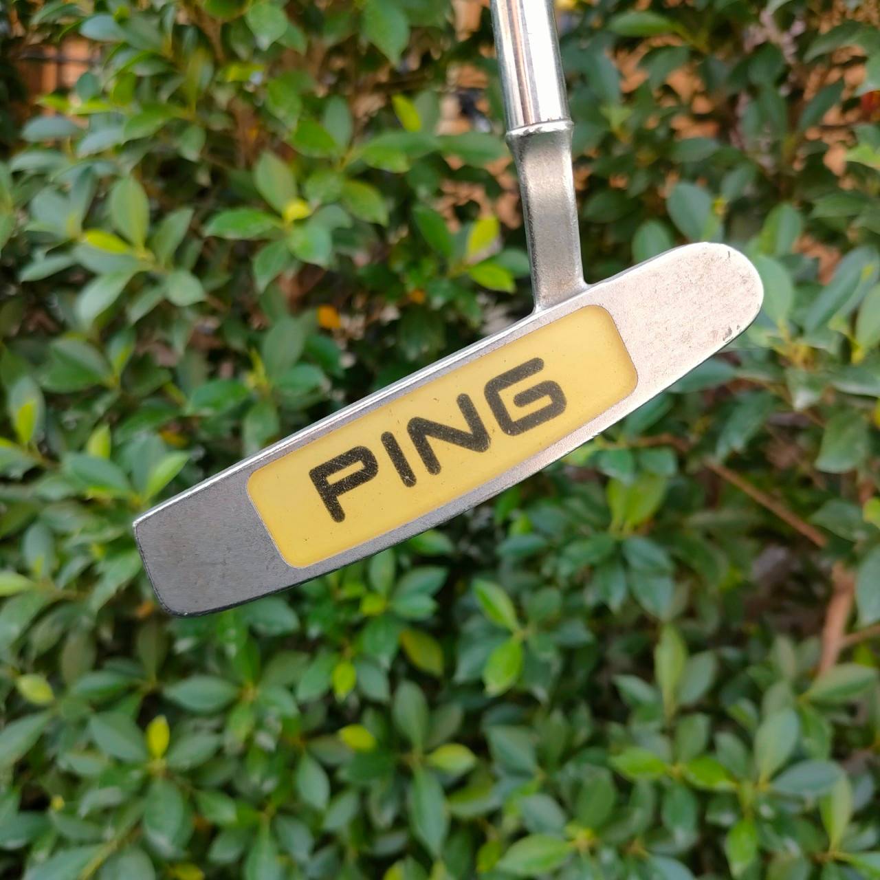 PUTTER PING ZING 2I ความยาว 34 นิ้ว หน้าไม้ อินเซิร์ท