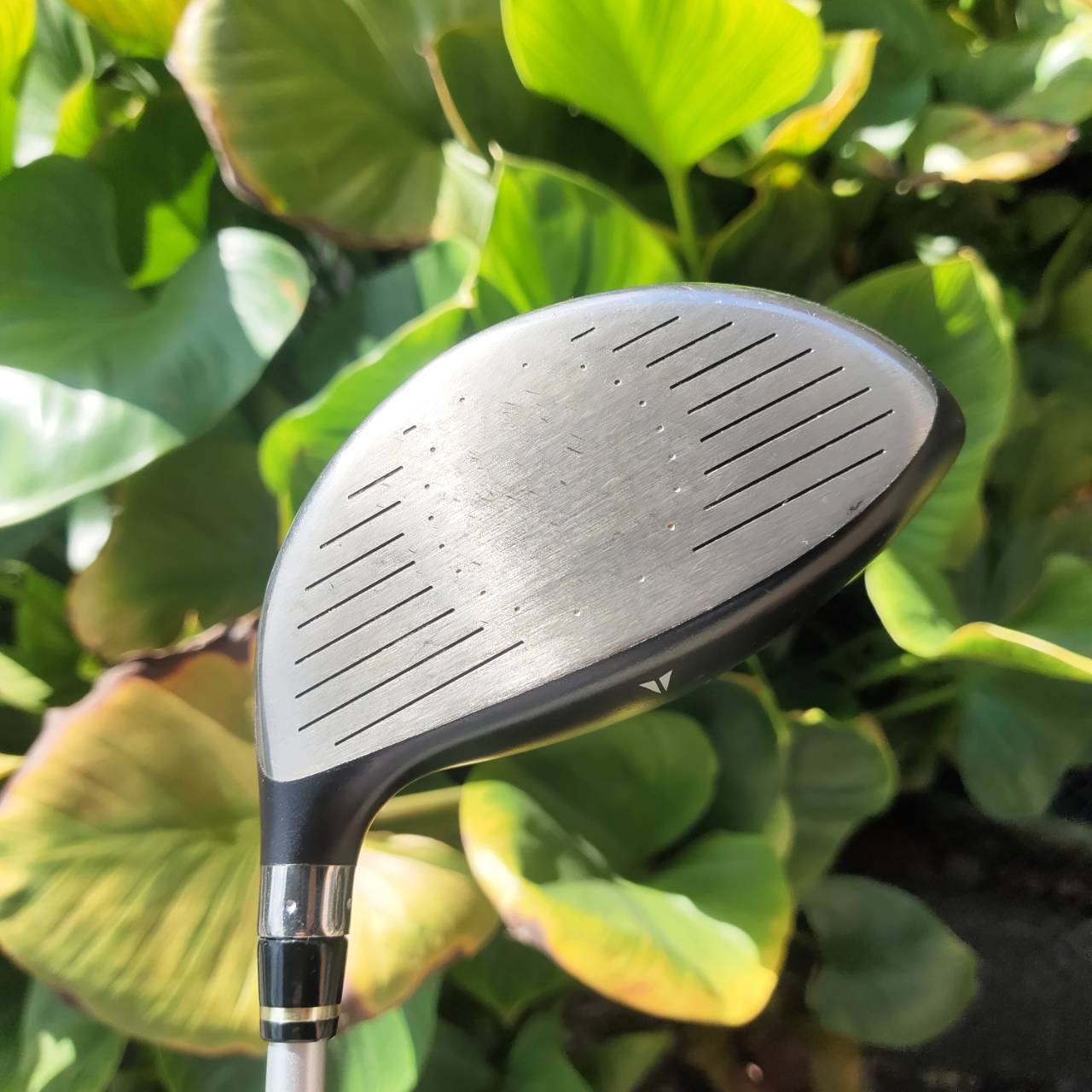 Driver Nike SQ DYMO 10.5° Flex R (Bassara SQ309D, RH) ตีตรงมากๆ ไกลมากๆ เด็ด!!!