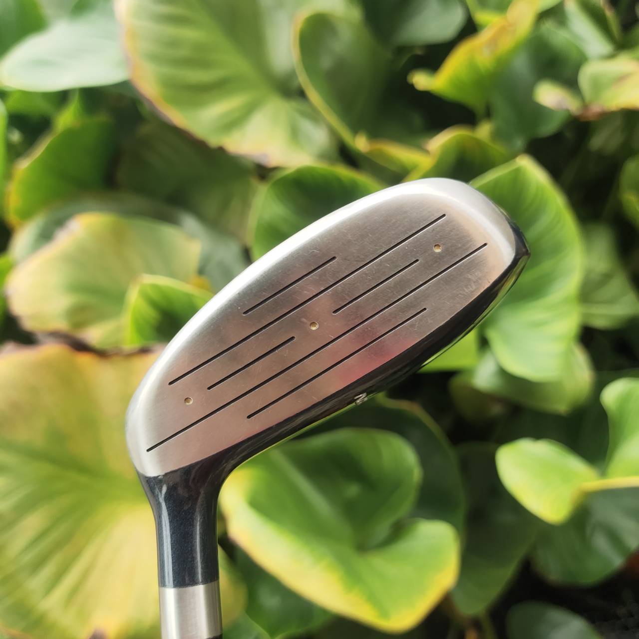 5W MIZUNO ZEPHYR NX | Loft 22° | Flex R ไม้แฟร์เวย์ตีง่ายญี่ปุ่นแท้ๆ สุดยอดตัวช่วยระยะกลาง!