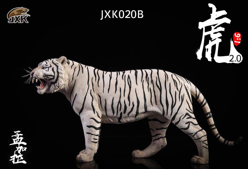 [สั่งจอง]JXK.Studio 1/6 JXK020A yellow Bengal tiger & JXK020B white Bengal tiger