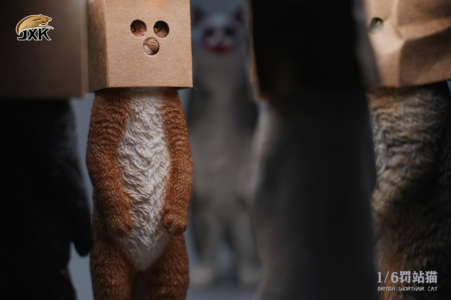 [สั่งจอง] JXK JXK084 1/6 : British Shorthair Cat