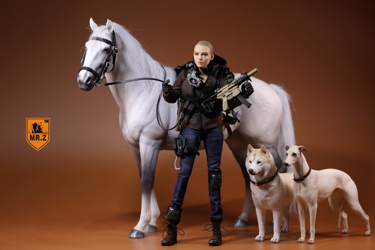 [สินค้าพรีออเดอร์] ม้าศึก Mr.Z 001~005 1/6 Germany Hanoverian Animal Hannover Horse Model 12" Figure