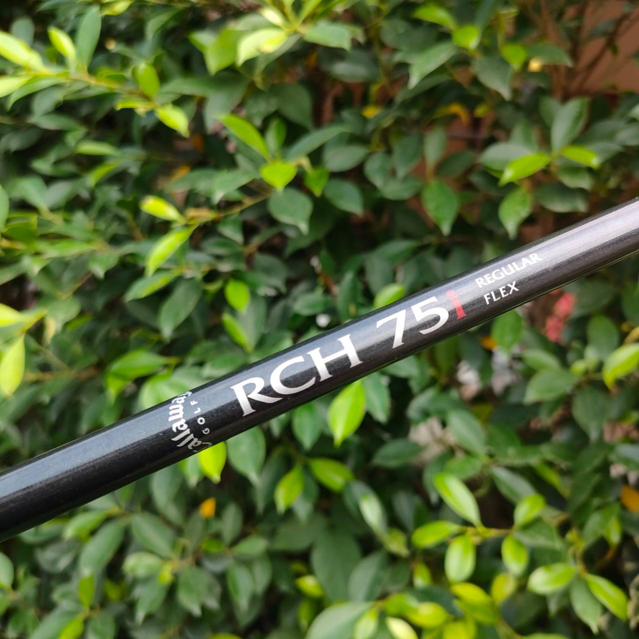 ชุดเหล็ก CALLAWAY BIG BERTHA มีเหล็ก 4-10 เเละ SW W ก้าน RCH 75 i FLEX R ตีง่ายมากๆเพราะใบใหญ่ Cavity ลึกมากๆ ก้านเจาะทะลุ ทุกชิ้น ได้ความรู้สึกดีมาก ท่านที่หาเหล็กตีง่ายๆ คุณภาพ ระดับมาตรฐาน ไม่อยากใช้เหล็กจีน ต้องชุดนี้เลยครับ พลาดไม่ได้ ตีดีมากๆครับ