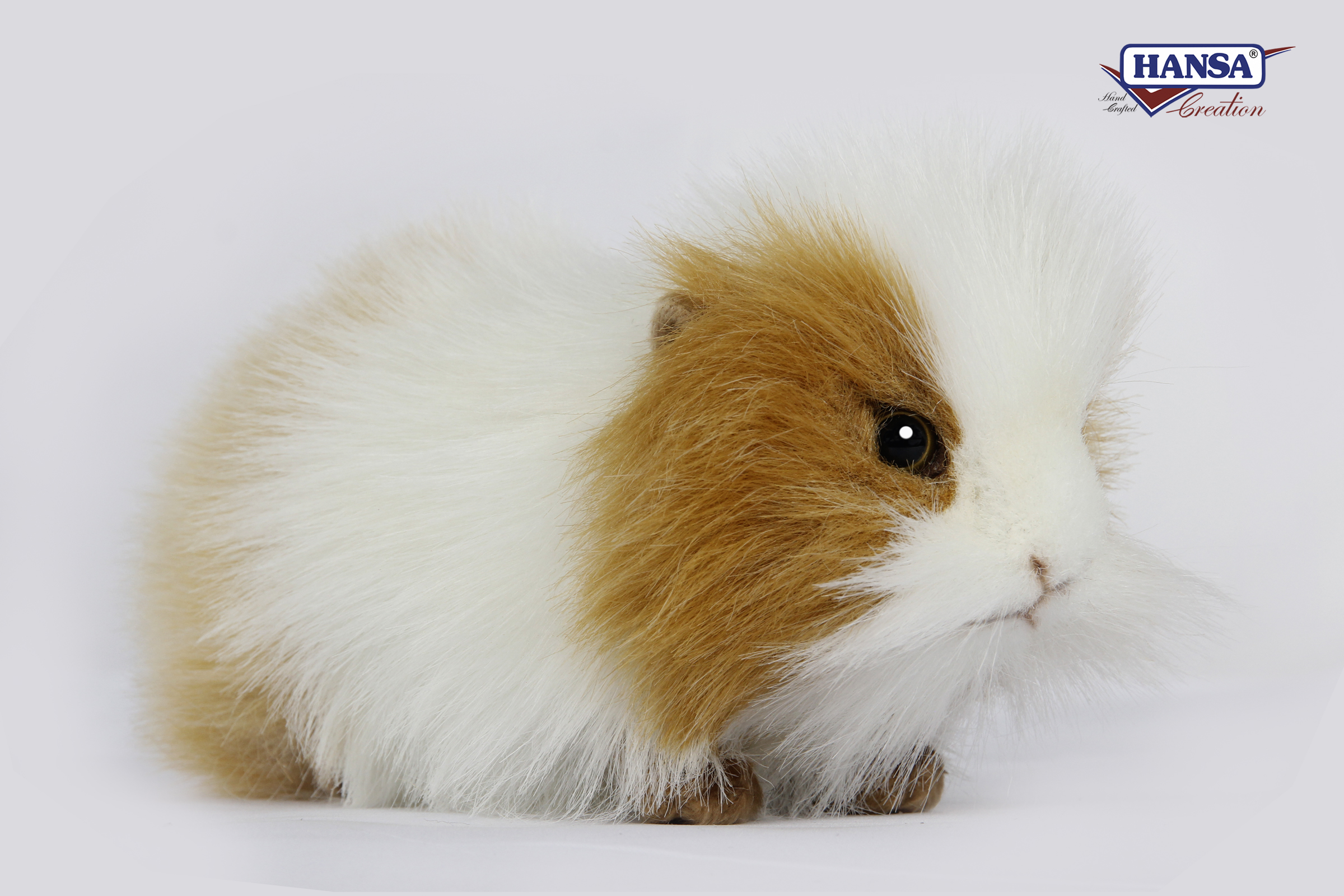 7319 Guinea Pig 20 cm. L