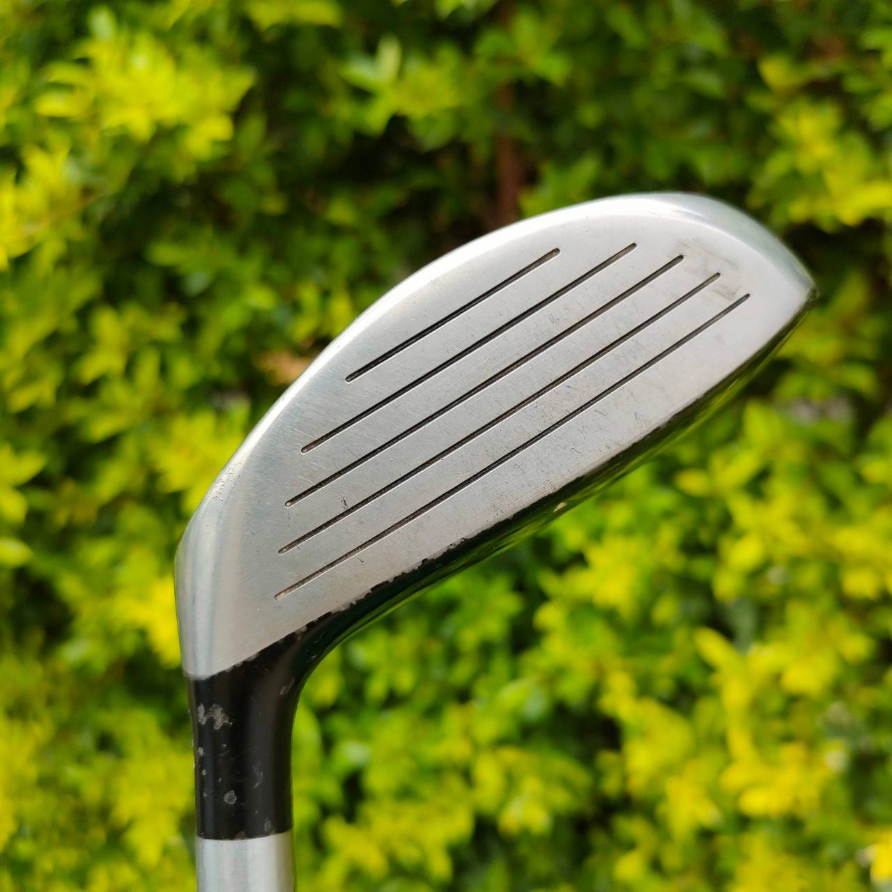 FW3 ROYAL COLLECTION องศา 16 ก้าน FD RC FLEX R RC เป็นไม้แฟร์เวย์ที่นิยม วัสดุ และการดีไซน์ด้านล่าง ทำให้ตีง่าย สอดลูกลงไปกับพื้นได้เป็นอย่างดี ไม้กอล์ฟมือสอง ของแท้ BY NakaraLuxurious