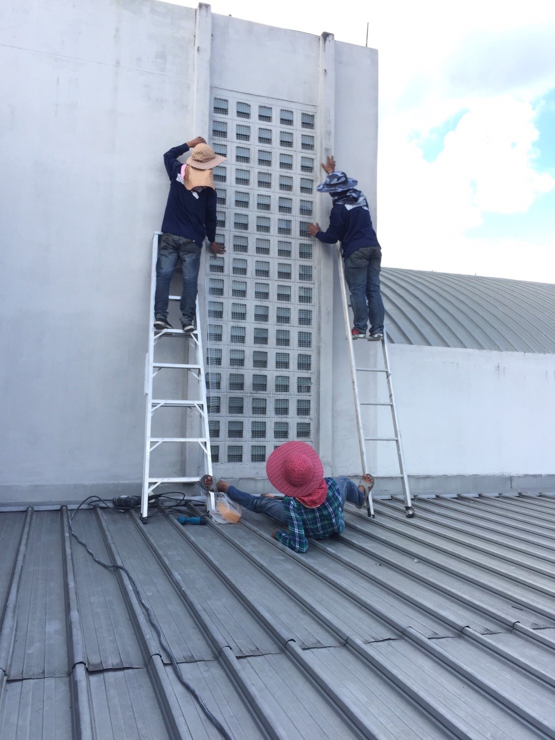 งานติดตาข่ายกันนก ตึกกายวิทยาทาน มหาวิทยาลัยมหิดล