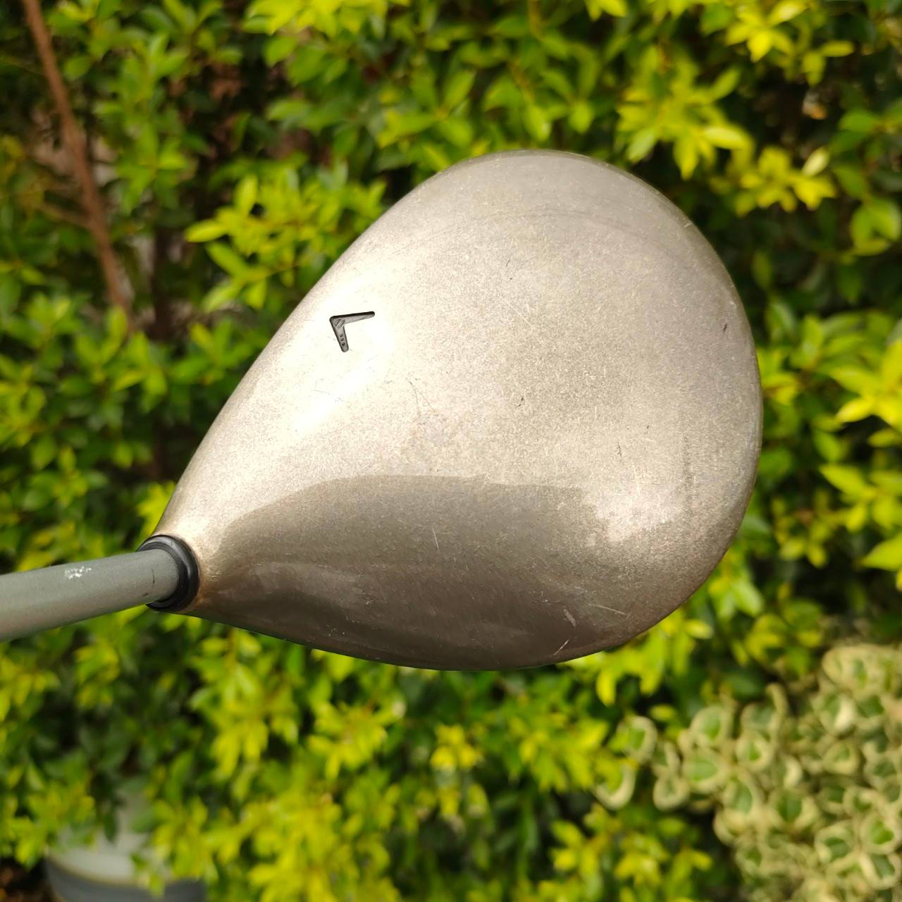 DRIVER CALLAWAY BIGGEST องศา10 ก้าน BIGGEST FLEX R เป็นตัวหัวใหญ่สุดในรุ่น หัว TITANIUM ตีไกลมาก ตีดีมากๆ คลาสสิค