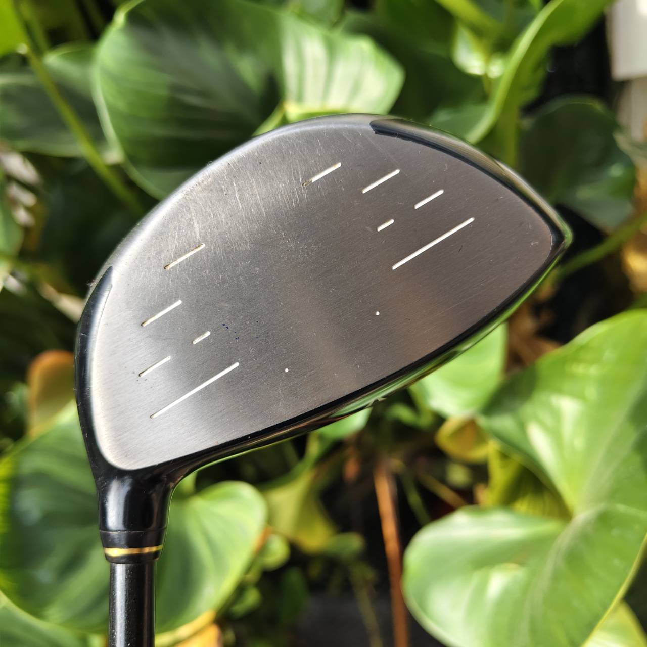 Driver XXIO IMPACT POWER BODY – ไดรเวอร์ชื่อดังจากซีรีส์ที่ขึ้นเรื่อง "ตีง่าย–ไกล–ฟีลดี"