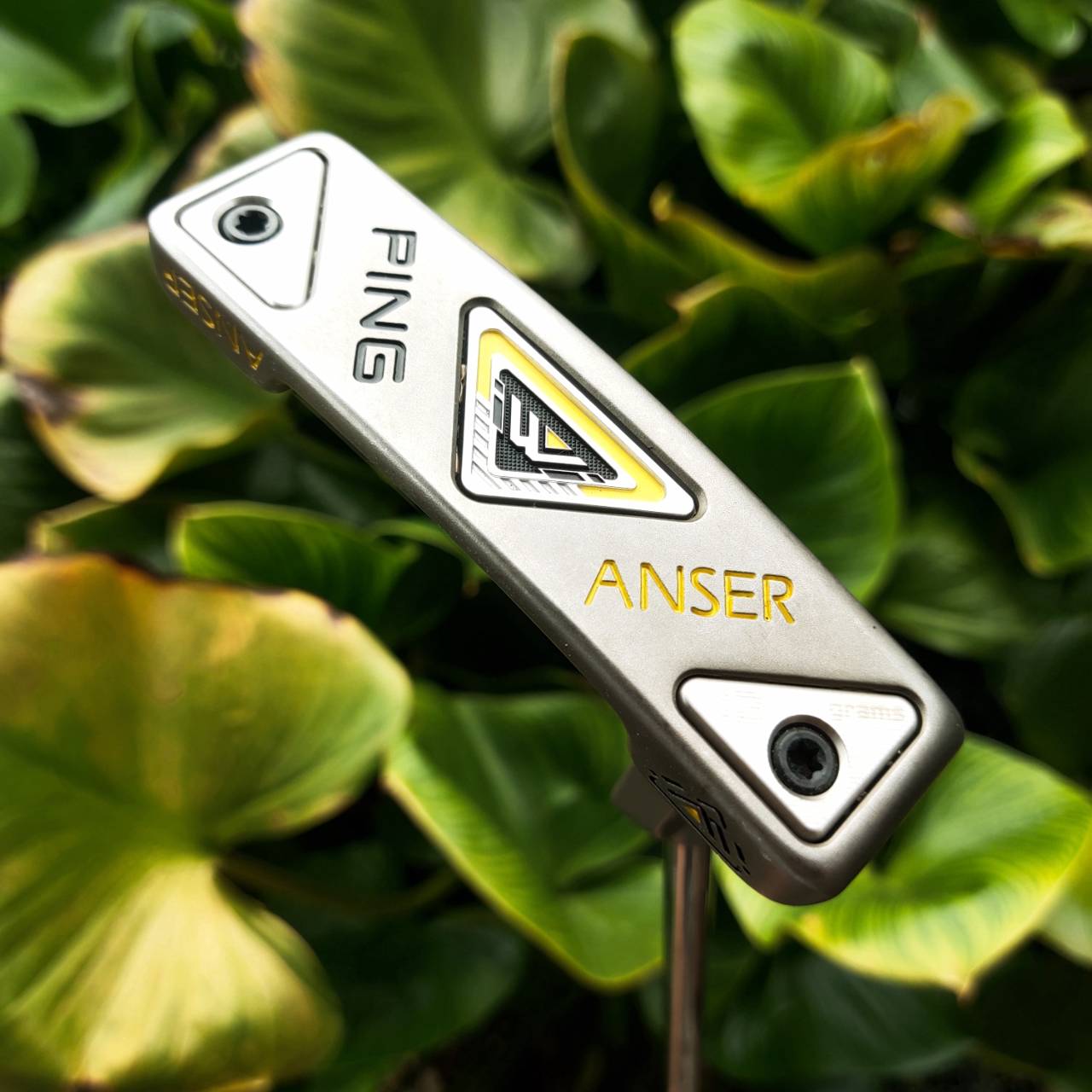 PUTTER PING ANSER iwi หน้าไม้ใส่ Insert iwi (lightweight insert) ที่สุดของการเกาะไลน์