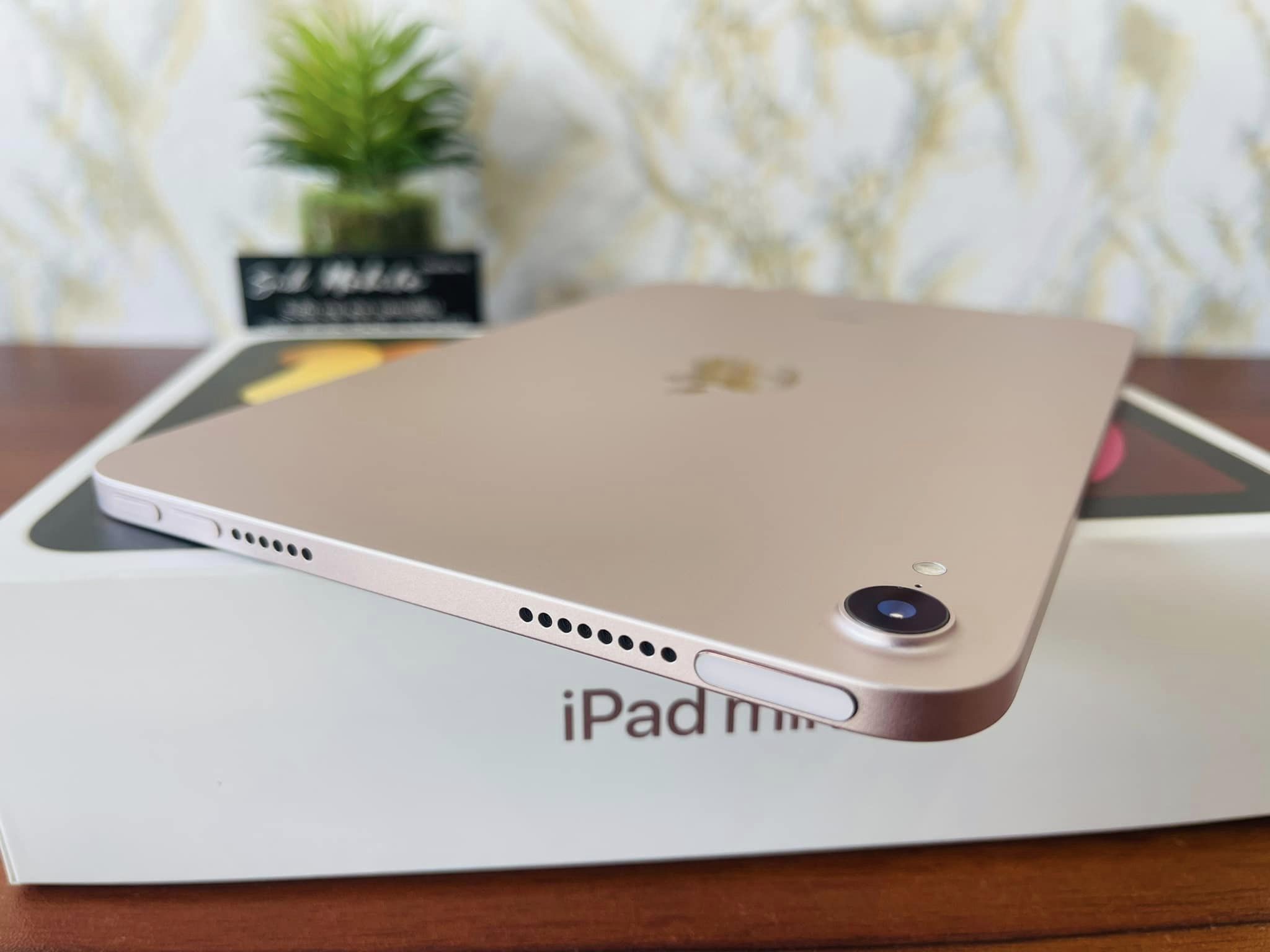 iPad Mini 6 Pink 256GB WiFi มือสอง