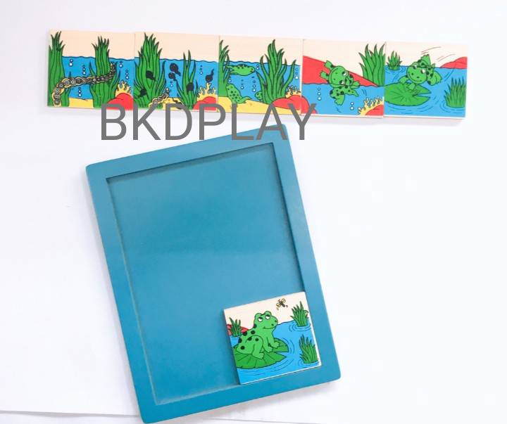 ของเล่น, ของเล่นเด็ก, จิ๊กซอว์, ตัวต่อ, เกมลำดับเหตุการณ์สัตว์ , ของเล่นไม้, ของเล่นเสริมพัฒนาการ, ของเล่นเด็กอนุบาล, สื่อการสอนเด็กอนุบาล