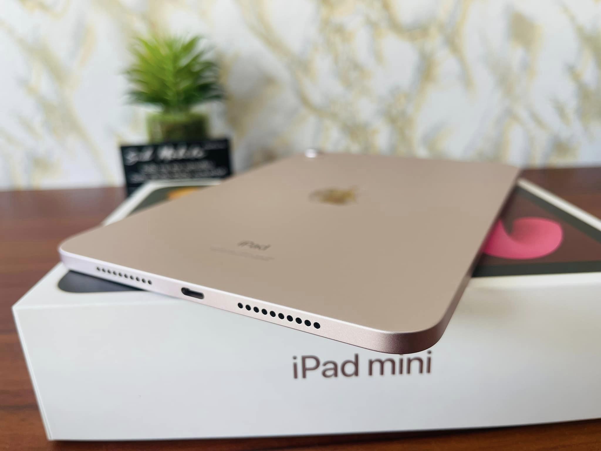 iPad Mini 6 Pink 256GB WiFi มือสอง