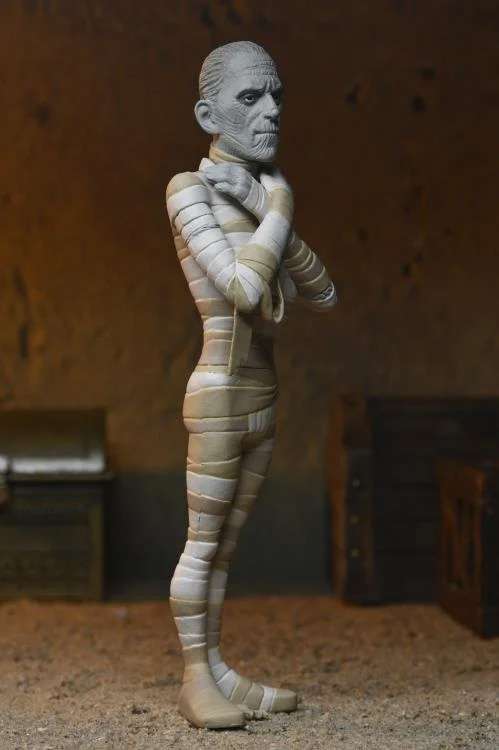 [สั่งจอง] NECA Universal Monster : Toony Terrors Series 10 Asst