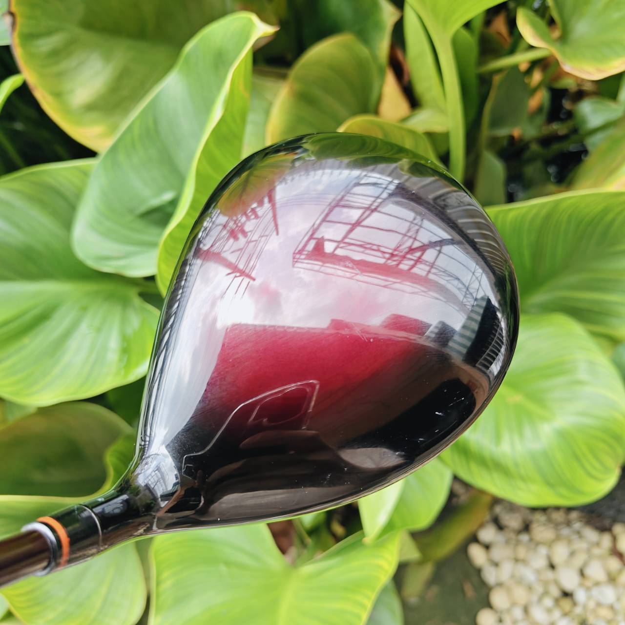 Driver ผู้หญิง SWORD SNIPER WOOD LADY ต้นตำหรับหน้าเด้ง พรีเมี่ยมญี่ปุ่น ตีเบาๆก็ไกลมาก