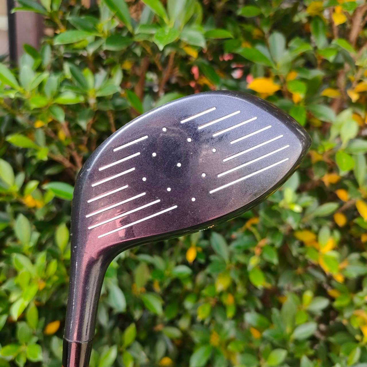 DRIVER HONMA SUPER BIG-LB TITAN260 ก้าน NEW SUPER ก้าน 2 ดาว ** FLEX R-1 องศา 10.5 สุดพรีเมี่ยม แค่ก้าน 2 ดาว ก็คุ้มแล้ว