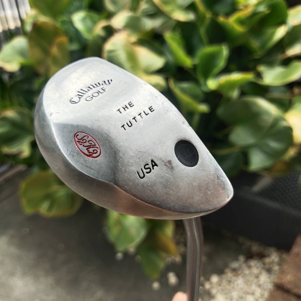 PUTTER CALLAWAY THE TUTTLE ทรงหลังเต่า ตัวดัง!! Tuttle Mallet พัตต์ดีมากกก