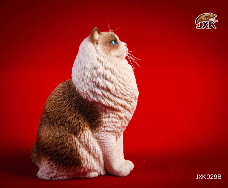 [สั่งจอง] JxK.Studio 1/6 Jxk029/ Jxk030 A/B/C/D -Ragdoll / British Shorthair Cat
