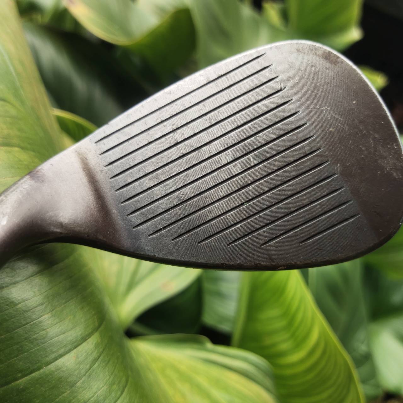 Titleist Vokey TVD52 BV Custom Wedge เป็นเวดจ์ระดับทัวร์ที่ออกแบบโดย Bob Vokey รุ่น TVD (Tour Van Design)