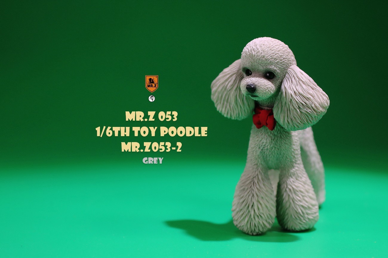 [สั่งจอง]Mr.Z MRZ053 animal model 1/6 : Toy Poodle