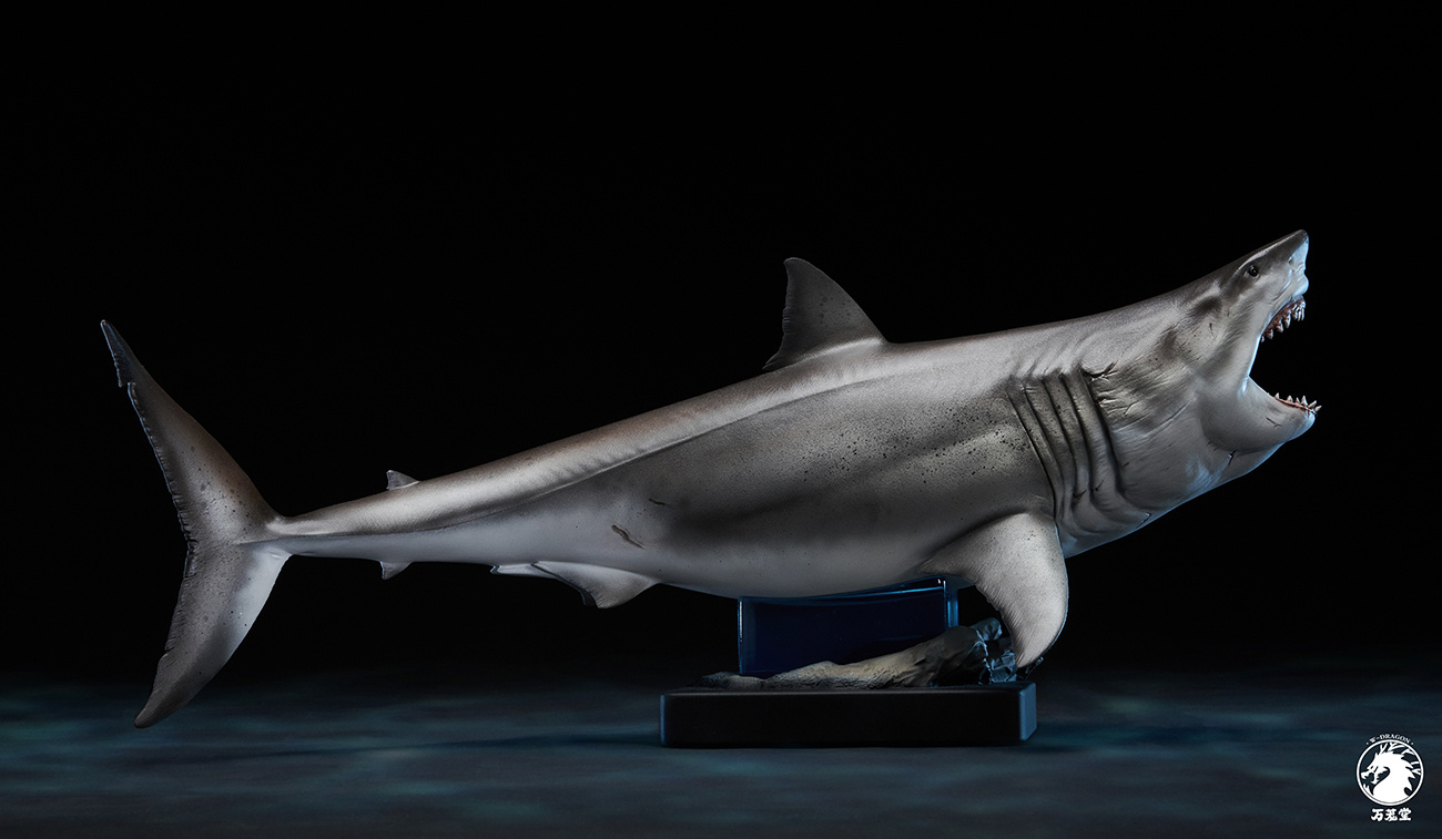[สั่งจอง]W-Dragon 1/18 : Great White Shark