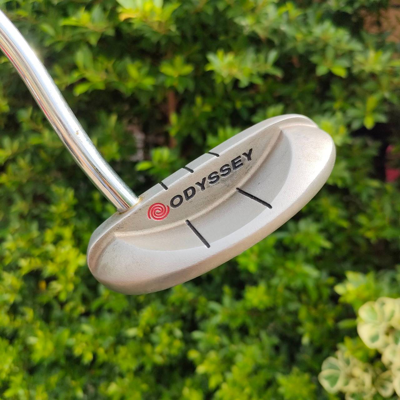 PUTTER ODYSSEY DUAL FORCE ROSSIE II ความยาว 35 นิ้ว ก้าน ODYSSEY กริพ ODYSSEY สภาพสวย รุ่นหน้าดำ ทรงมอลเล็ต ทั่งนุ่มและเกาะไลน์!! ไม้กอล์ฟมือสอง ของแท้ BY NakaraLuxurious