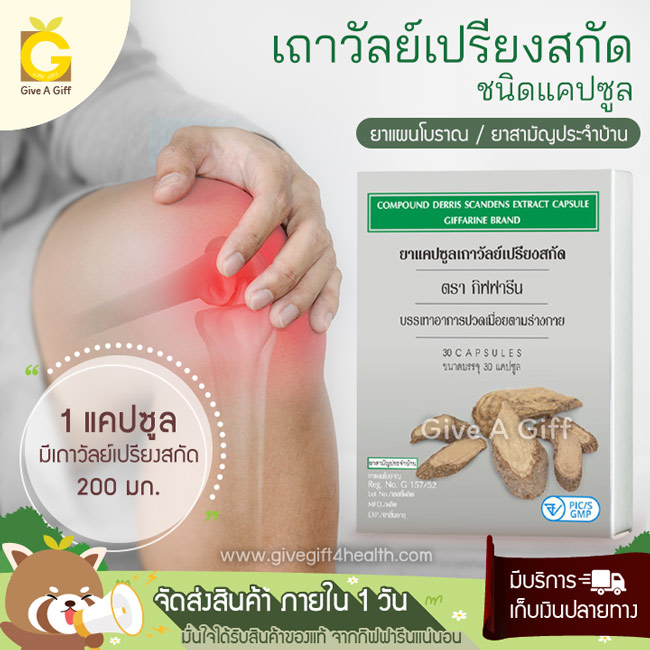 ยาแคปซูลเถาวัลย์เปรียง ยาบรรเทาอาการปวดกล้ามเนื้อและบรรเทาอาการอักเสบของกล้ามเนื้อ