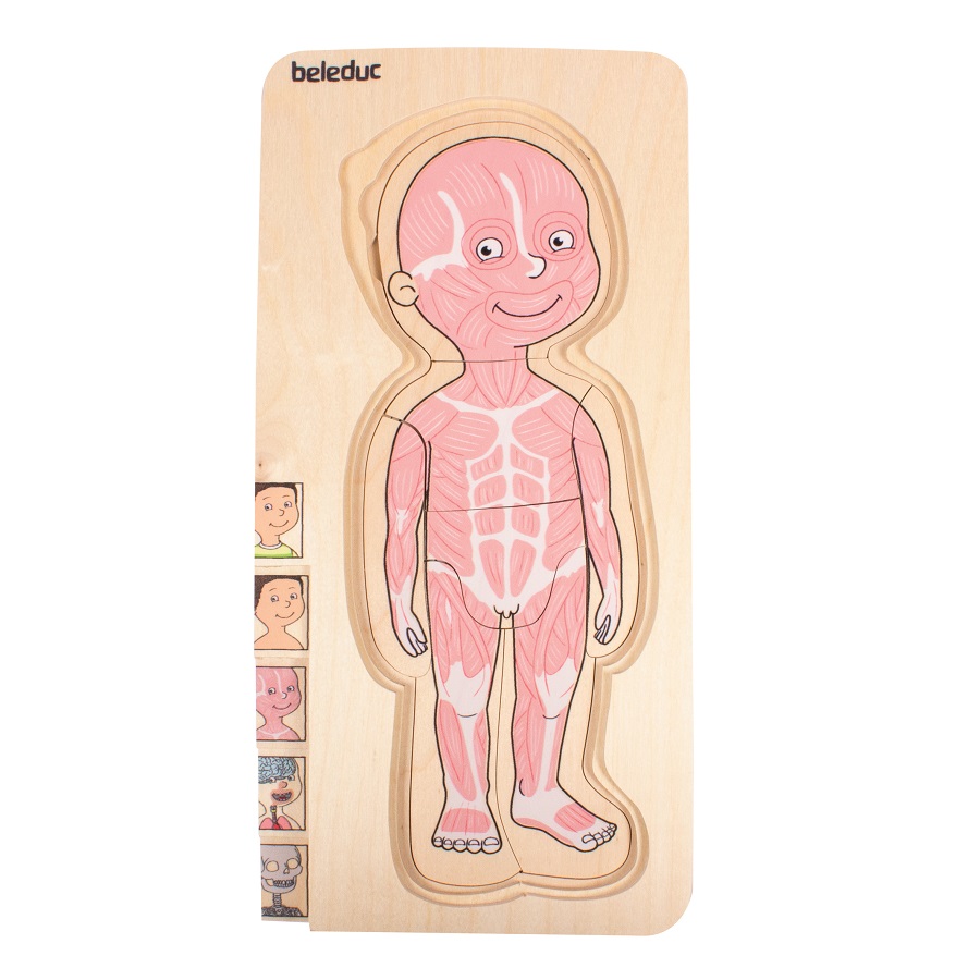ชุดเกมปริศนา-ร่างกายเด็กชาย , ของเล่นไม้, ของเล่นเสริมพัฒนาการ, ของเล่นเด็ก, สื่อการสอนเด็ก