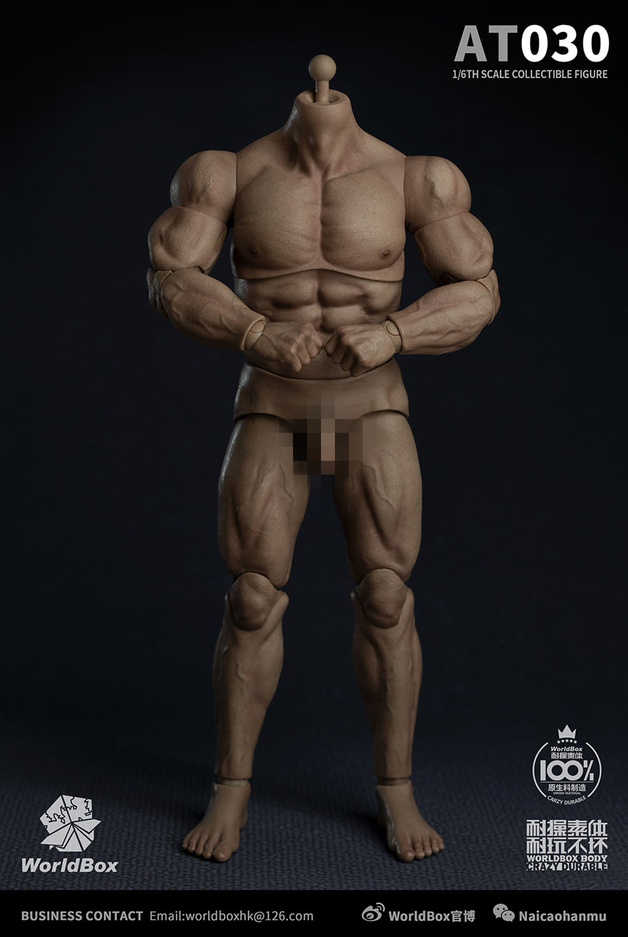 [สั่งจอง]Worldbox AT030 1/6 : DURABLE STRONG BODY