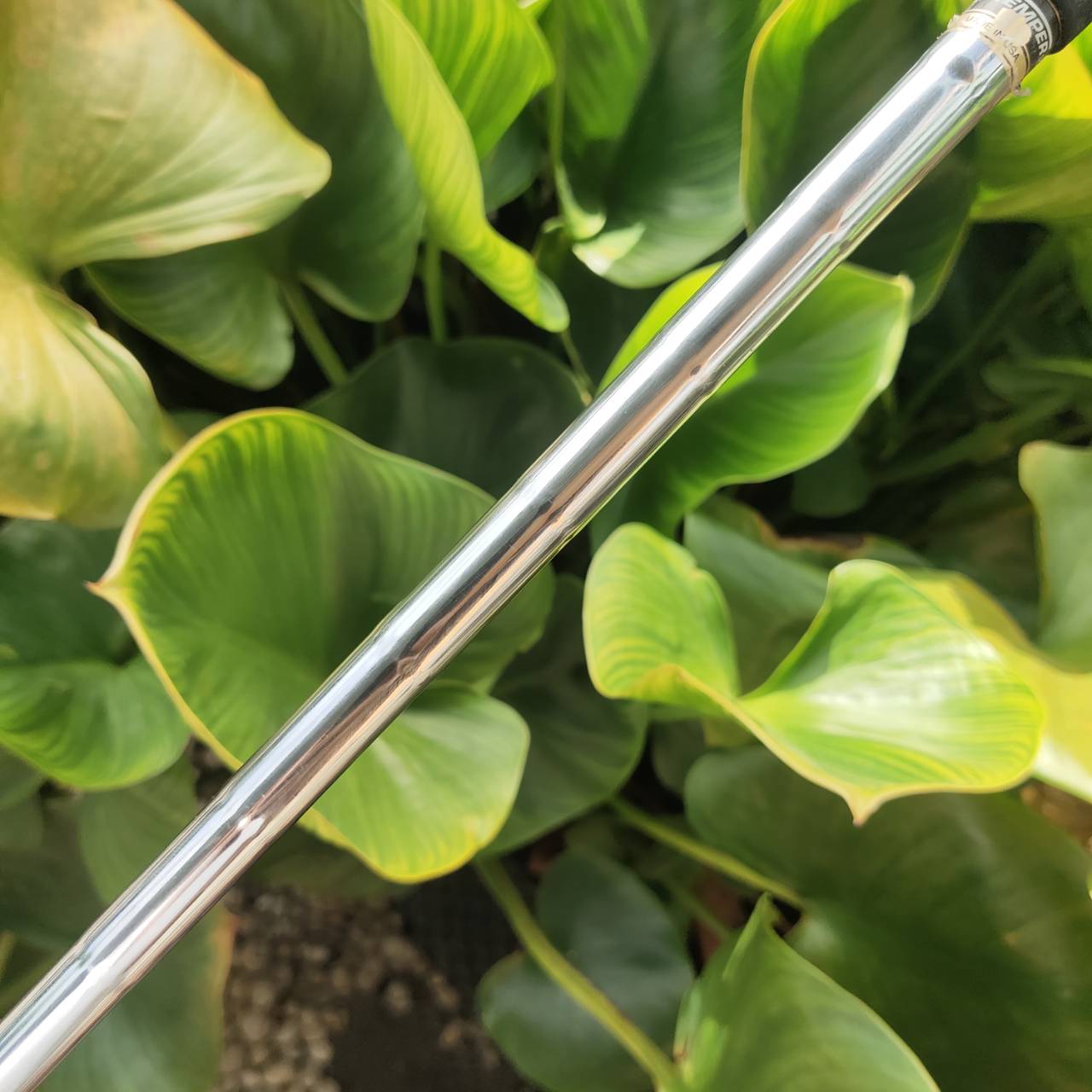 WEDGE CLEVELAND REG 588 องศา 56 FLEX WEDGE รุ่น 588 เป็นรุ่นที่ดังมากที่สุด