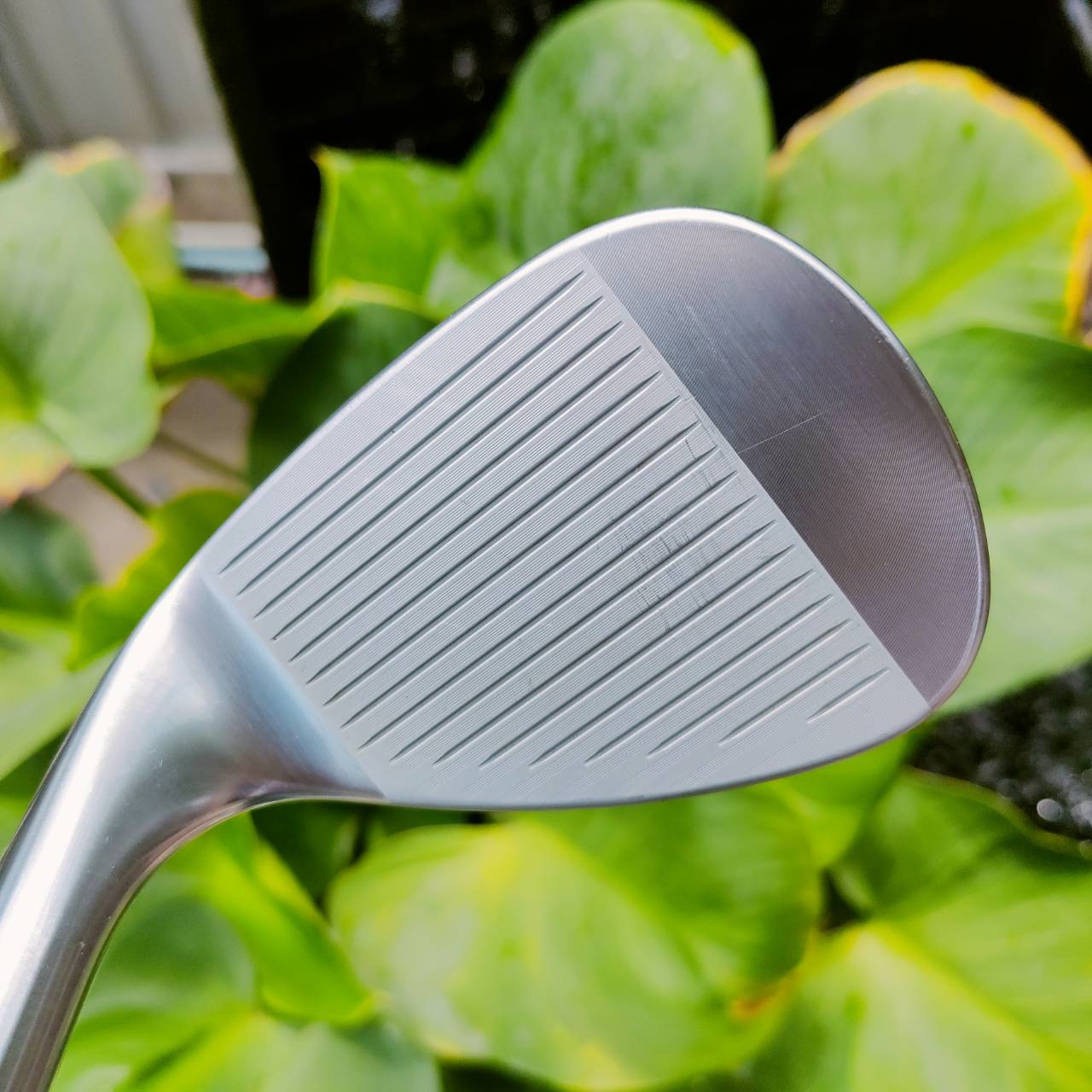 WEDGE Titleist SM6 สภาพสวยมาก องศา 56 BONCE 10 S Grind ไม้กอล์ฟพรีเมี่ยมมือสอง ของแท้ By NakaraLuxurious