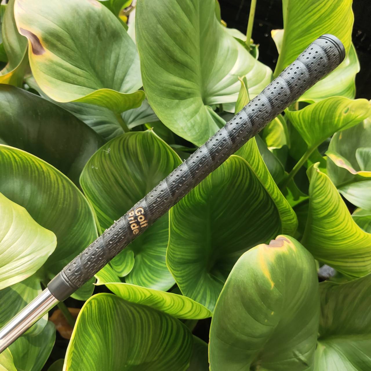 SW BRIDGESTONE REYGRANDE RG-3 ใบ FORGED ญี่ปุ่น CAVITY นุ่มมาก ชิพง่าย ระเบิกทรายขึ้นง่าย