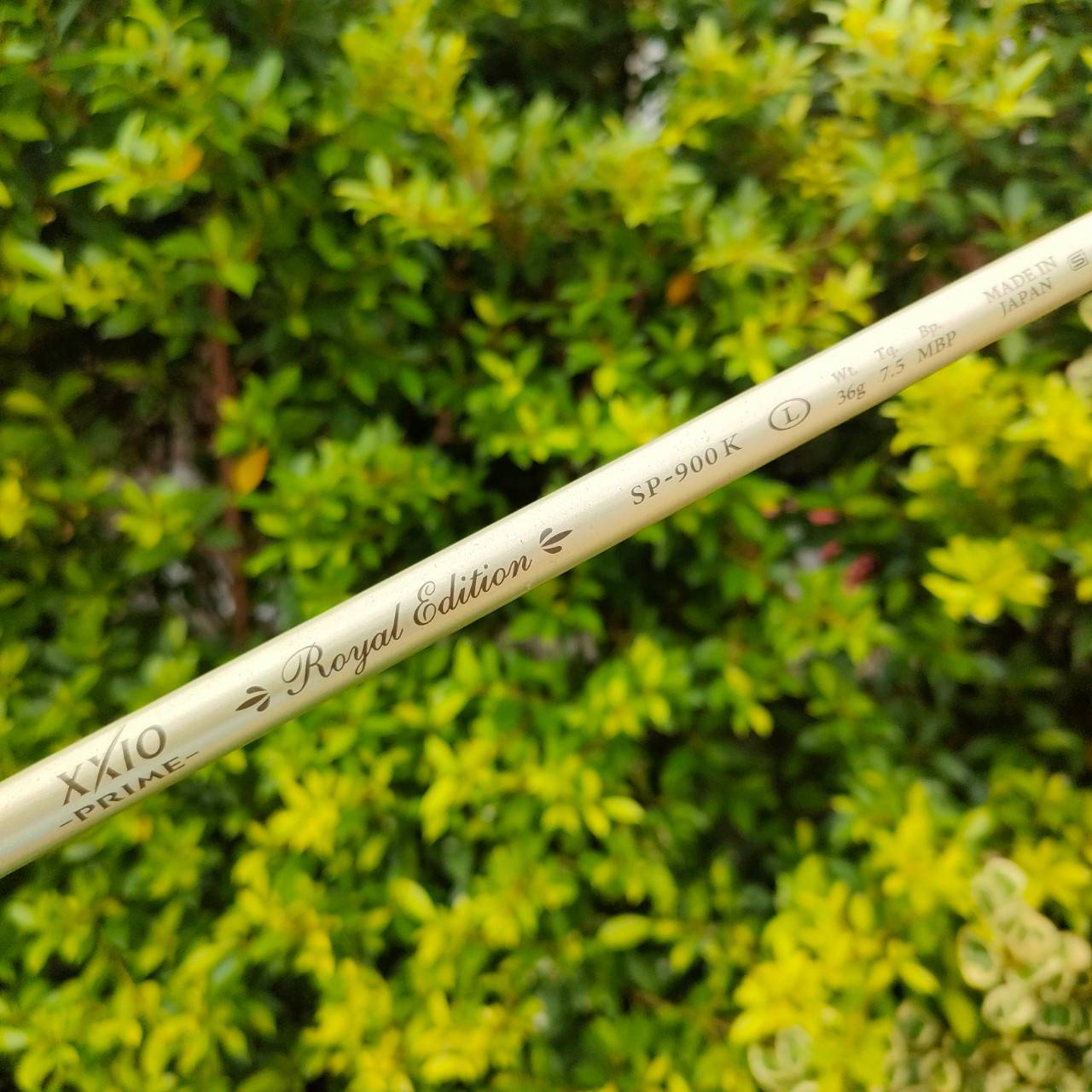 ** ไม้กอล์ฟสำหรับผู้หญิง ** DRIVER XXIO -PRIME- องศา 11.5 ก้าน ROYAL EDITION SP-900K FLEX L เป็นตัวพรีเมี่ยมกว่า XXIO9 ธรรมดา เป็นรุ่น 9 รุ่นใหม่และยอดนิยม ไม้กอล์ฟมือสอง ของแท้ BY NakaraLuxurious