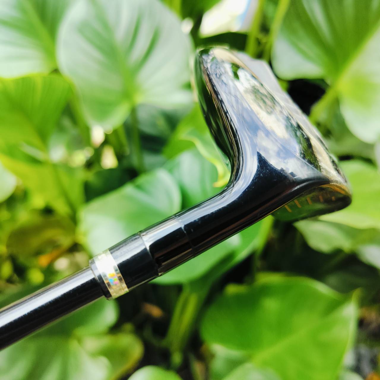 หัวไม้ 5 Katana Voltio NINJA Alpha (ตัวท๊อป รุ่นปี 2019) Loft 19 ก้าน Fujikura Speeder 462 Evolution Flex R ไม้กอล์ฟพรีเมี่ยมมือสอง ของแท้ By NakaraLuxurious