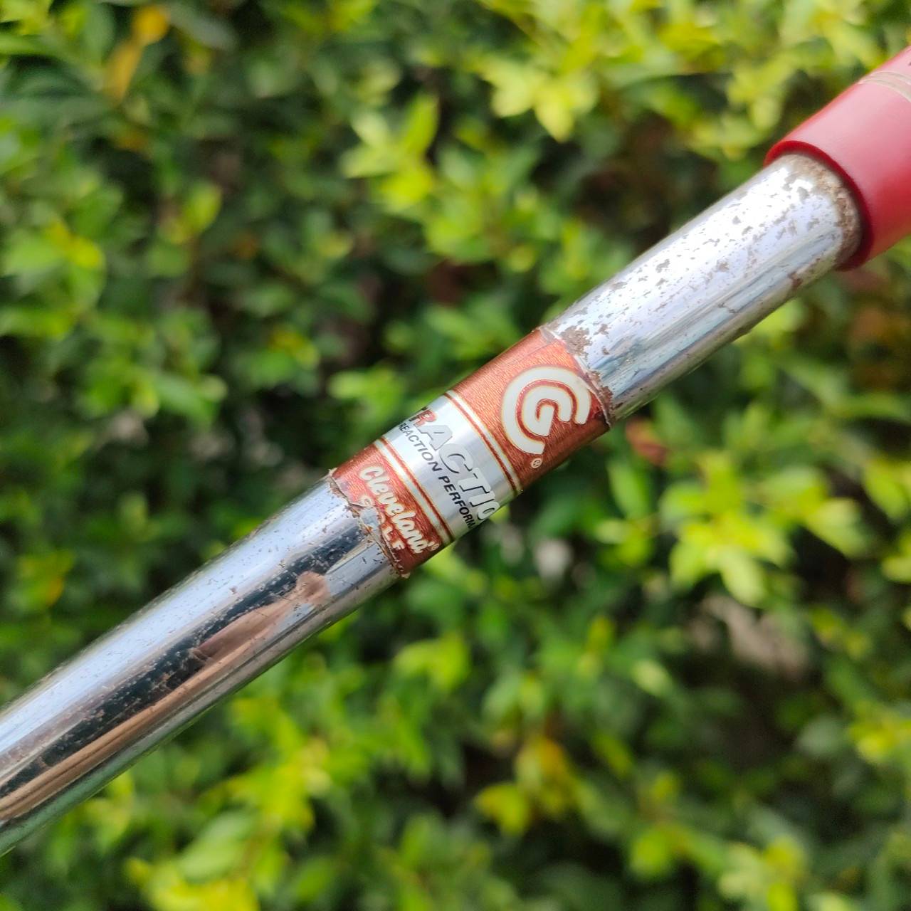 WEDGE CLEVELAND CG14 ZIP GROOVES องศา 58 BOUNCE 12 ร่องสี่เหลี่ยมเหมือนซิป ก้าน CLEVELAND FLEX WEDGE ร่องคมมาก กัดลูก ตกหยุดถอยแน่นอน